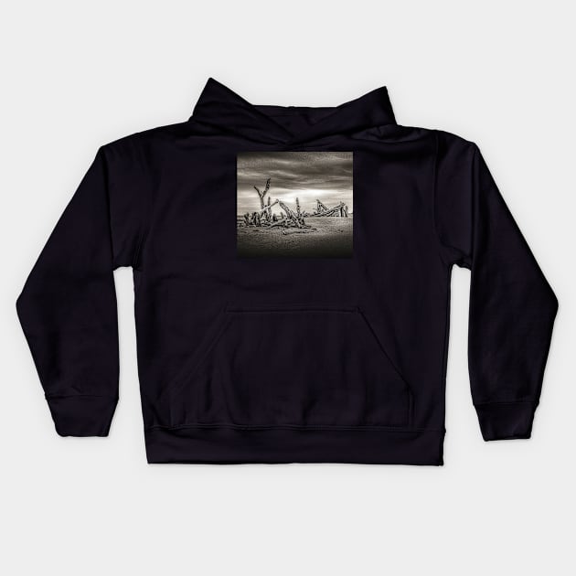 ASIAN DRIFTWOOD II Kids Hoodie by JerryGranamanPhotos71